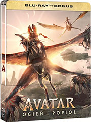 okładka płyty dvd: Avatar: Ogień i popiół