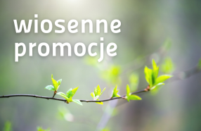 Napis: wiosenne promocje na tle gałązki